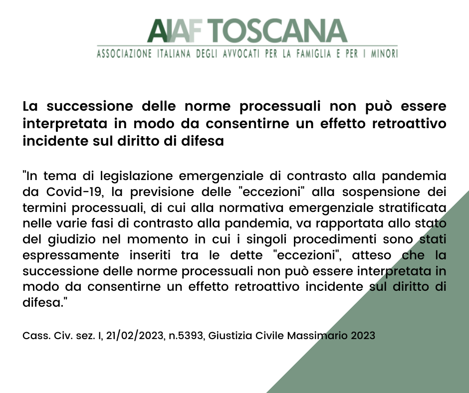 Rassegna Giurisprudenziale: La successione delle norme processuali non può essere interpretata in modo da consentirne un effetto retroattivo incidente sul diritto di difesa
